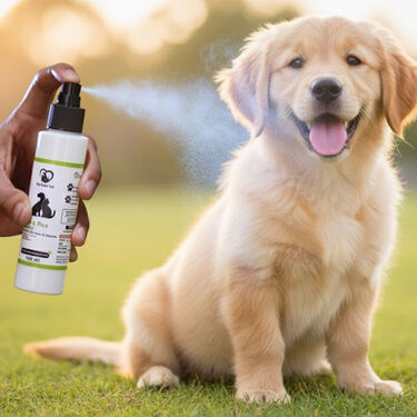 Anti-Tick & Flea Spray For Pets (PET1)
