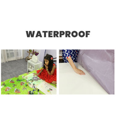 Double Mattress Protector Sheet with 2 Pillow Protector Free (DMP2)