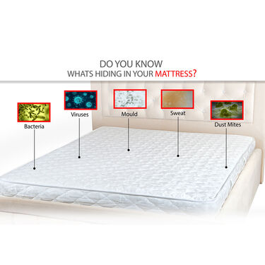 Double Mattress Protector Sheet with 2 Pillow Protector Free (DMP2)