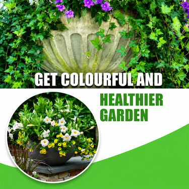 Plant Growth Booster Sticks Pack Of 25 (PFS)