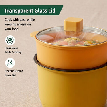 Multipurpose Electric Cooking Pot With Steamer (EFM13)