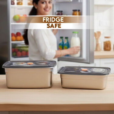 Pack of 2 Stainless Steel Microwavable Container With Airtight Lid (2SMC1)