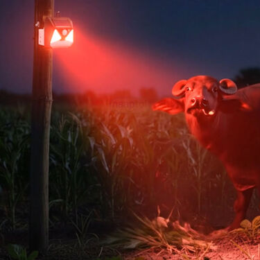 2 In 1 Solar Light With Animal Repellent Light  (LL21)