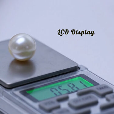 Digital Weight Scale (PD49)