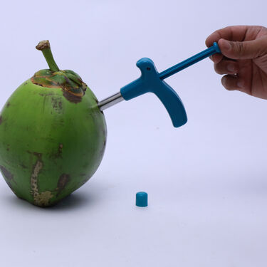 Stainless Steel Coconut opener (COS4)