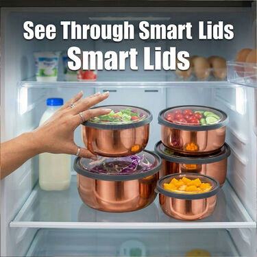 5 Stainless Steel Bowl + 5 Push & Lock Lid (10PL5N)