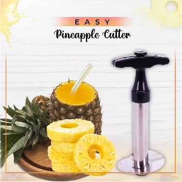 Pineapple Cutter (PAC1)