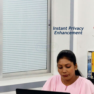 Pick Any 1 Privacy Window Sticker (PWS1)